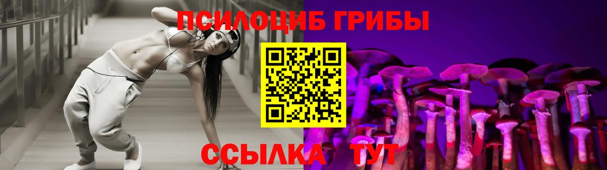 Галлюциногенные грибы GOLDEN TEACHER  Псилоцибиновые грибы Magic Shrooms  Наро-Фоминск  Вход с VPN 